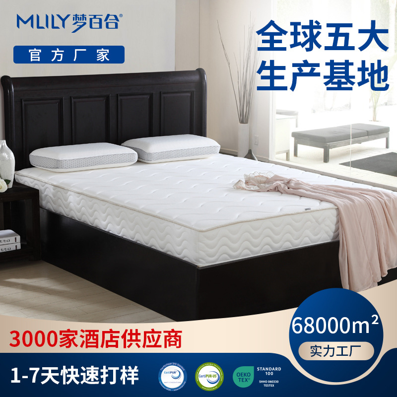 零压房货源加厚记忆棉弹簧垫 双人保暖床垫慢回弹海绵软垫