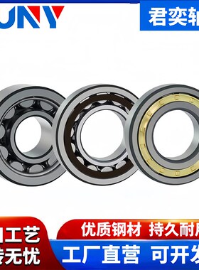 FQI轴承N NU NJ226 228 230 232 234 236 238 240 244248 252 EM