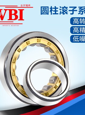 VBI圆柱滚子轴承RN308 309 310 312 313 317E