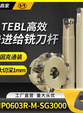 快进给铣刀杆TEBL高进给铣刀盘特固克通装双面铣刀片BLMP0603