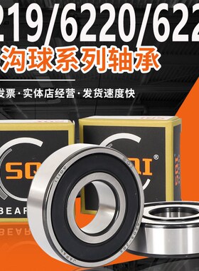 SQI精密轴承大全6220RS6221高速6222电机6224 6226静音6228 6230Z