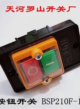 天河罗山开关厂 按钮开关 BSP210F-1B旋钮开关10A AC440V带塑料盒
