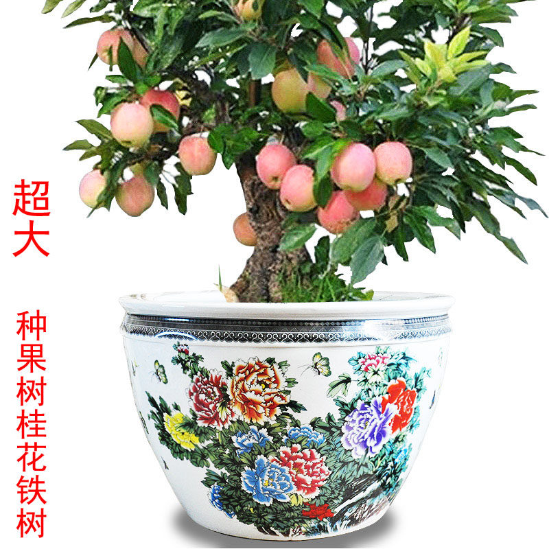 景德镇陶瓷器花盆果树新中式桂花铁树超大号树盆新中式牡丹花钵栽
