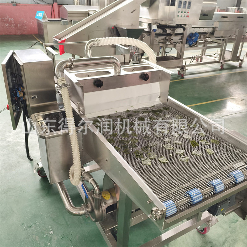 鲜桑叶气泡清洗机 全自动翠叶油炸生产线 裹浆均匀 提供工艺配方