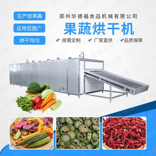 水果干柠檬片网带式烘干机 果蔬干燥机 安全智能除湿设备节约能源
