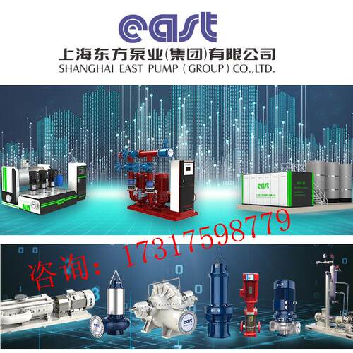 上海东方泵业DFLH立式单级化工泵 DFWH卧式不锈钢离心管道水泵