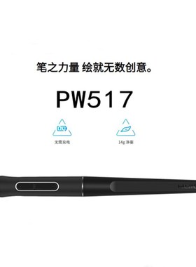 HUION绘王 数位屏手绘屏绘画板PW517数位笔PW515 压感笔