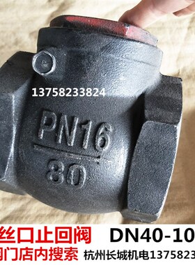 加厚铸铁止回阀丝口H14T卧式内螺纹逆止阀DN40 65 80管道单向阀