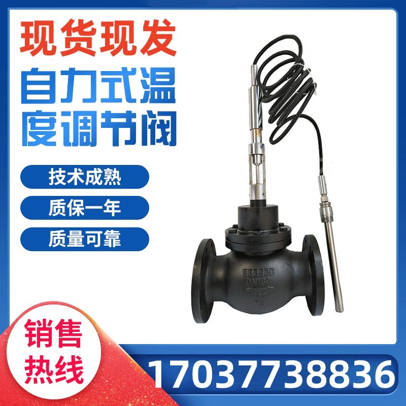 ZZWP-16C自力式温控阀自力式蒸汽导热油温度调节阀自力式控温DN50