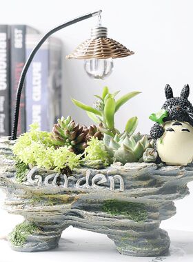 卡通龙猫树脂花盆透气大号桌面净化空气装饰绿植花卉个性创意摆件
