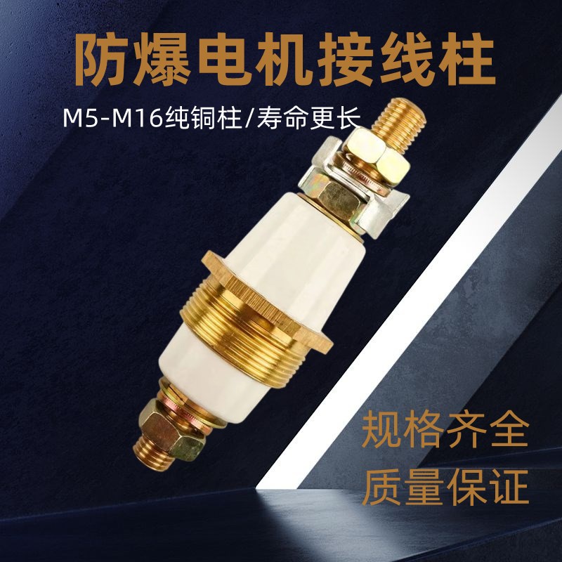 防爆绝缘接线柱 YB/YB2接线端子M5M6M8M10M12M16圆独立柱纯铜螺丝
