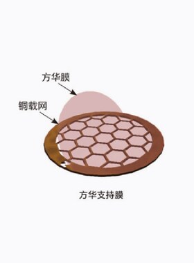 TEM电镜专用铜网/碳膜100目-300目方华膜无碳方华膜FORMVAR方华膜