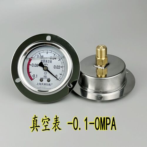上海天湖YN-60ZT 0-25MPA轴向带边耐震压力表 液压油压 抗震防震