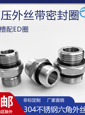 304不锈钢高压外丝连接ED密封圈加厚双六角外螺纹定做G直管接头
