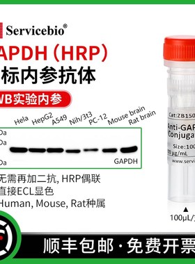 赛维尔 GAPDH 直标内参抗体 HRP偶联 WB无需二抗 直接ECL显色