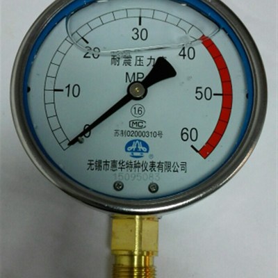 径向 无锡市惠华特种仪表有限公司 耐震压力表 yn100 60mpa 100mm