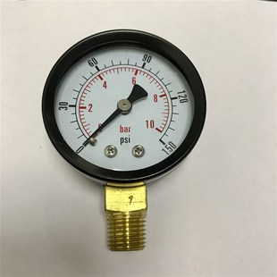 2分铜螺纹ZG1 10bar 双刻度压力显示 150psi 50mm压力表