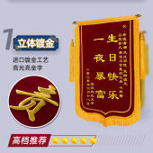 送医生锦旗高档龙须加厚植绒定做印字颁奖小锦旗送月嫂教练