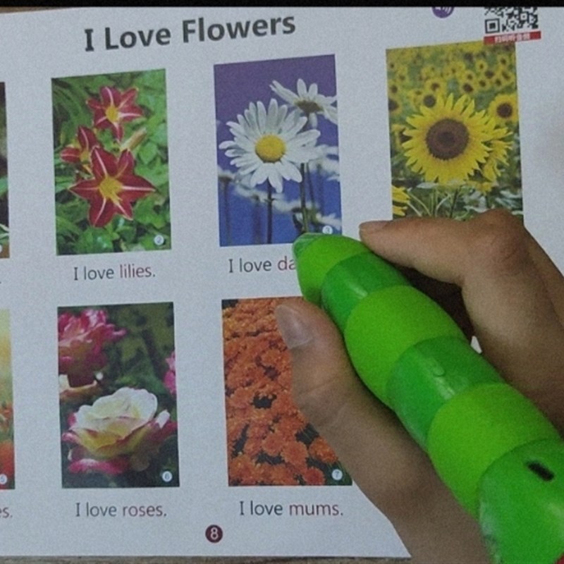 毛毛虫一代二代点读笔,可以点读合订本RAZ分级英语启蒙阅读绘本