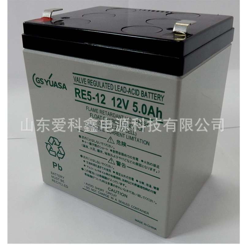 GS YUASA 蓄电池 RE5-12 12v5ah 仪器 门禁 电子秤 铅酸电池