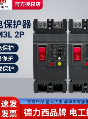德力西CDM3L-250家用漏电开关2P 100A160A200A单相220V漏电保护器