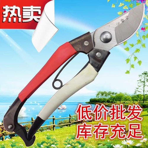 红梅子修枝剪 园艺剪刀花树修剪专用园艺工具 果枝剪园林剪用品