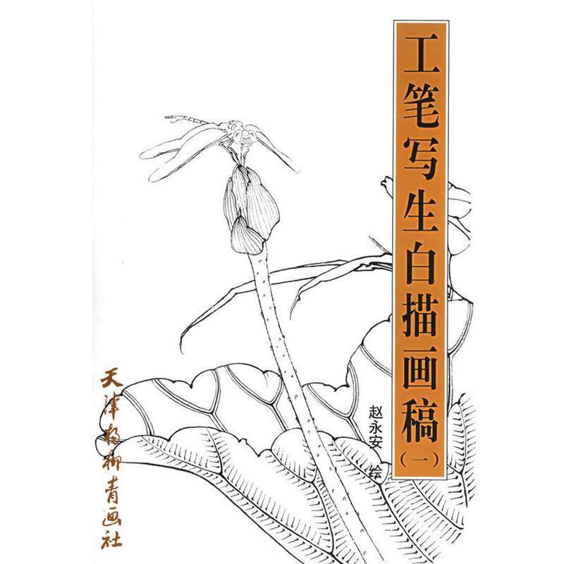 【正版书籍】 工笔写生白描画稿 赵永安 绘 天津杨柳青画社