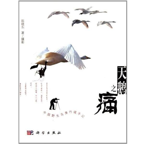 【正版书籍】 天鹅之痛:中国野生鸟类行摄手记 陈晓东 著 科学出版社