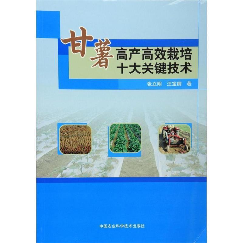 【正版书籍】 甘薯高产高效栽培十大关键技术 张立明,汪宝卿　著 中国农业科学技术出版社