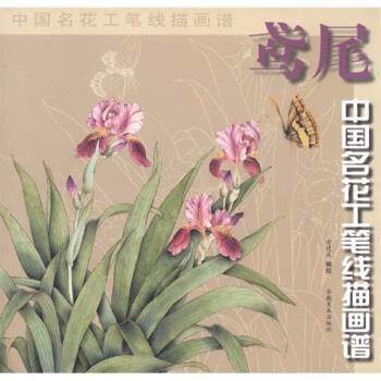 【正版书籍】 中国名花工笔线描画谱:鸢尾 金建成 安徽美术出版社