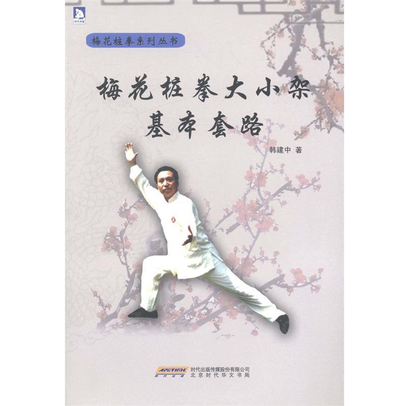 【正版书籍】 梅花桩拳大小架基本套路 韩建中 著 北京时代华文书局