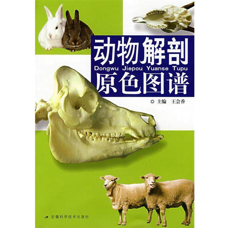 【正版书籍】 动物解剖原色图谱 王会香 主编 安徽科学技术出版社