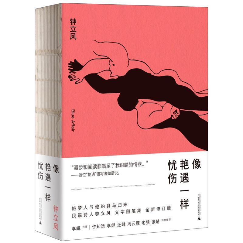 【正版书籍】 新民说 像艳遇一样忧伤 钟立风 广西师范大学出版社
