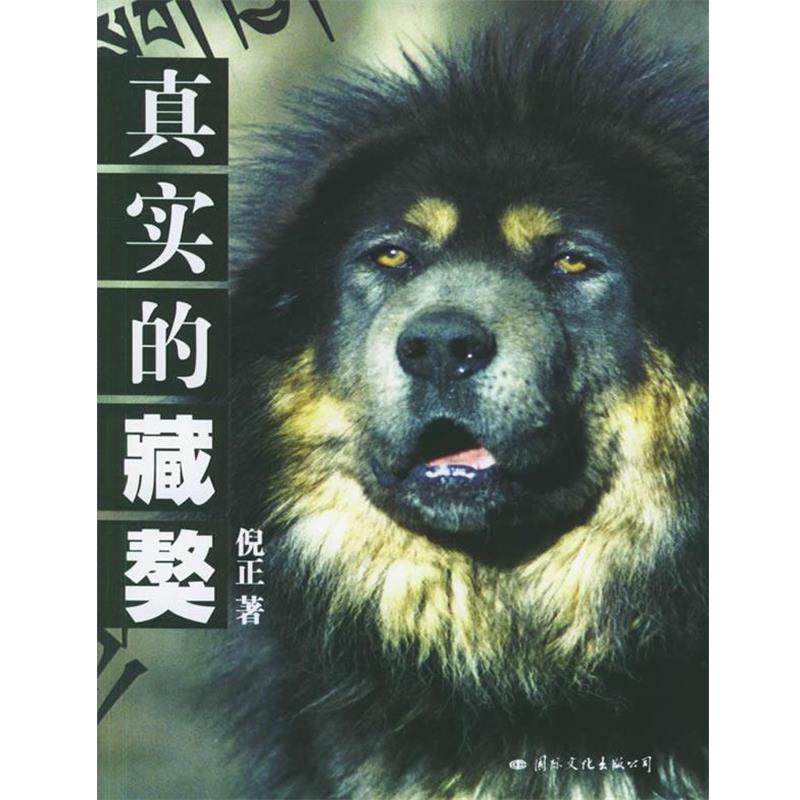 【正版书籍】 真实的藏獒 倪正 著 国际文化出版公司,书籍/杂志/报纸,中国古代随笔,淘宝优惠券,粉丝福利购,淘宝优惠卷