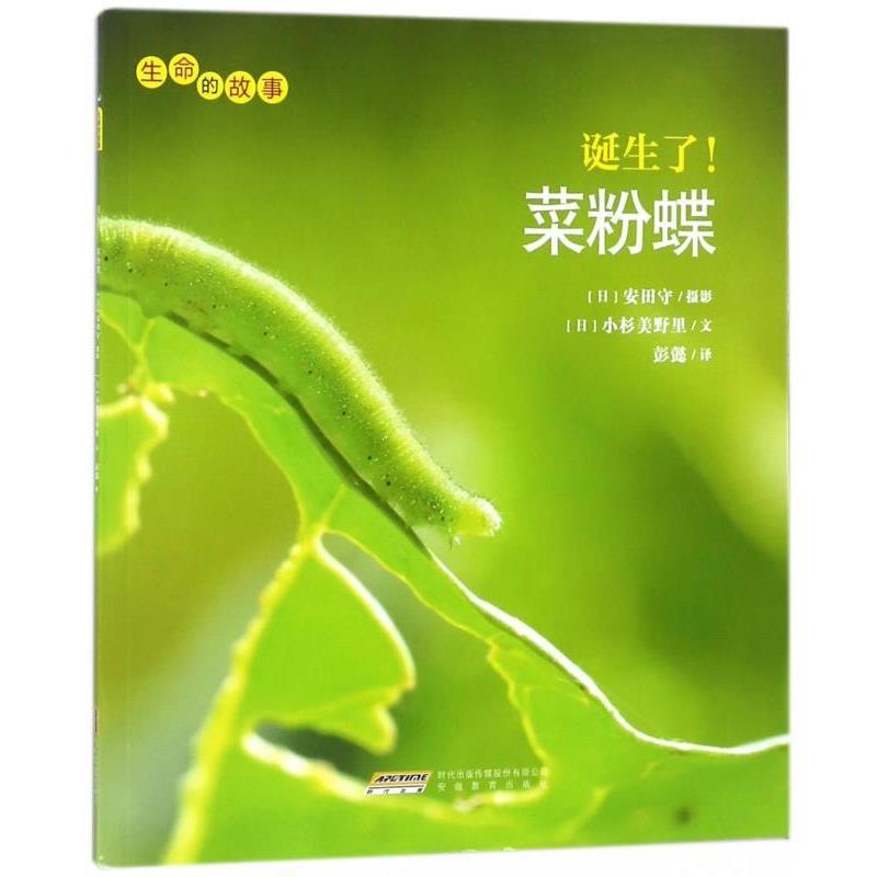 【正版书籍】 诞生了菜粉蝶 [日]小杉美野里,彭懿 安徽教育出版社