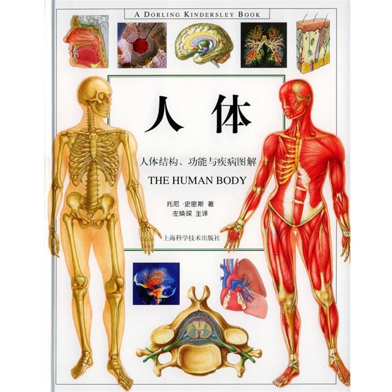 【正版书籍】 人体:人体结构功能与疾病图解 (英)史密斯 著,左焕琛 译 上海科学技术出版社