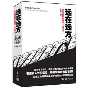 【正版书籍】 远在远方 张晓宣 著 中国画报出版社
