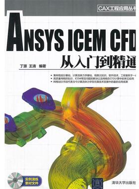 【正版书籍】 ANSYS ICEM CFD 从入门到精通 丁源,王清 著 清华大学出版社