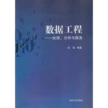 【正版书籍】 数据工程:处理、分析与服务 岳昆 著 清华大学出版社