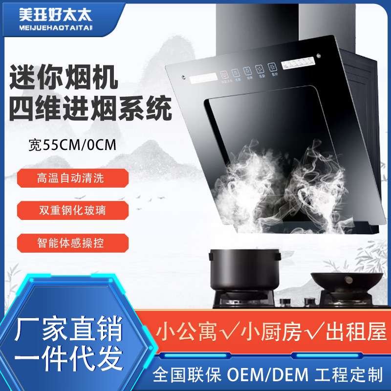 抽油烟机侧吸家用简易厨房小尺寸大吸力单灶公寓小型烟机110v