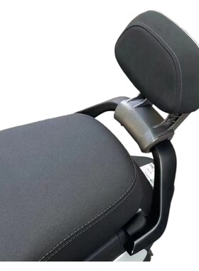 适用九号电动Pro版后靠背猎户座DZ系Mmax150Q90cQ85cMmax90Mmax11