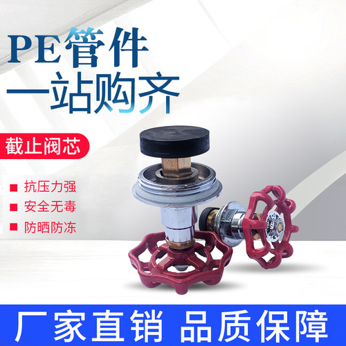 PPR/PE截止阀阀芯90管110管3寸4寸阀门心闸阀心75/2.5寸20/32/40