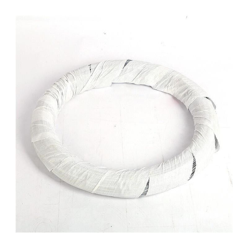 普舍(PUTSCHE)镀锌铁丝 26号粗0.5mm*580米 防锈电镀铁丝线捆扎铁