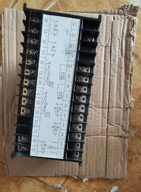 WP-80上润数显表WP-LQ812-02-AAGG-HL-