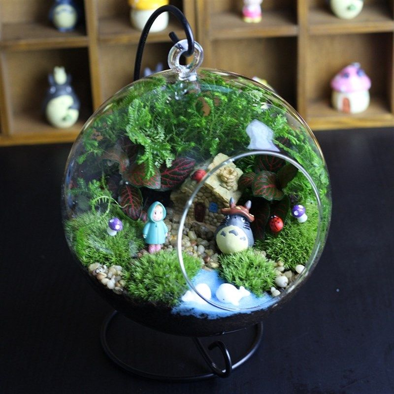 包邮苔藓微景观生态瓶创意迷你绿植办公室盆栽diy龙猫摆件