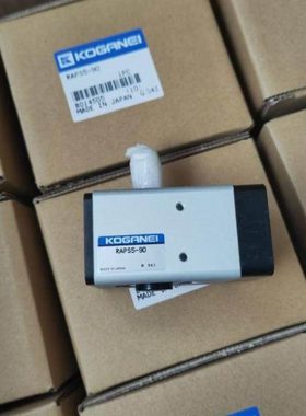 小金井旋转气缸RAPS/RAP5/1/10/20-90-100-180-190-100-360-D-S