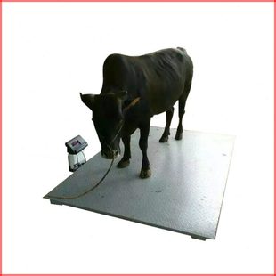 养殖场电子地磅 给牛称重小型电子地秤 3吨数显电子秤