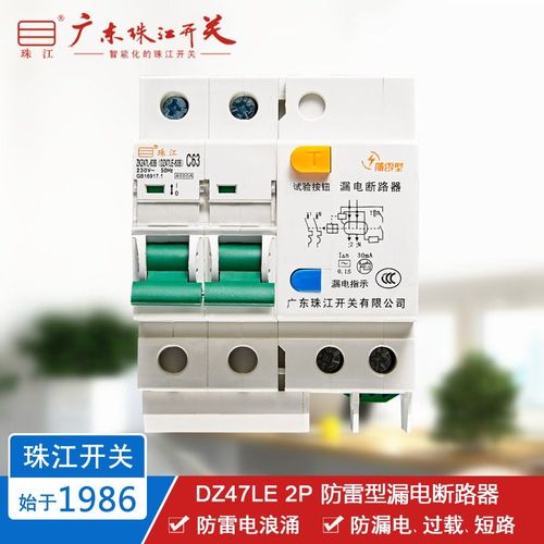 珠江开关 DZ47LE 2P 6-63A 断路器 防雷浪涌保护器 漏电空气开关