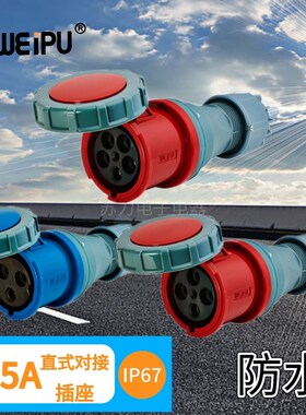 威浦 125A 移动式对接插座 TYP2702 TYP2719 TYP2724 防水IP67