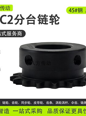 2分04C链轮45钢成品孔25H06C06B08B10A12A16A单双排齿轮配件大全
